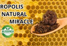 Propolis: The Natural Miracle for Your Health, Backed by Science Spoon Full of raw Propolis