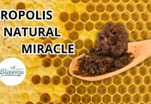 Propolis: The Natural Miracle for Your Health, Backed by Science A wooden spoon holding raw propolis chunks and powder against a golden honeycomb background, with the text 'PROPOLIS NATURAL MIRACLE' and the Blissenza logo.