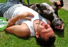 Does the Sun Protect Against Influenza? Evidence and Ancient Knowledge Man taking a sunbath laying on the grass