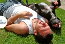 Does the Sun Protect Against Influenza? Evidence and Ancient Knowledge A man lying on green grass in the sun with a dog lying on its back next to him, both looking relaxed and happy.