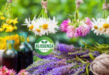 10 Basic Medicinal Plants Everyone Should Have at Home