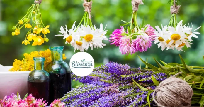 10 Medicinal Plants for Home